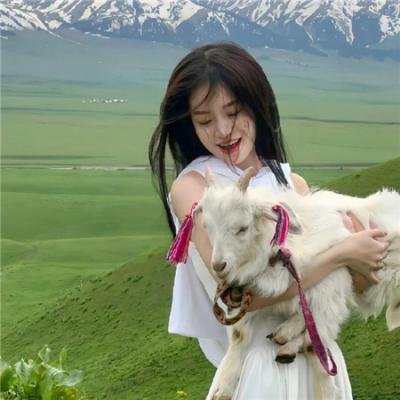 神犬出击